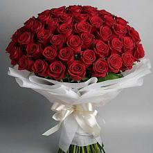 Букет 101 Красная роза Блэк Мэджик в Нововеличковской