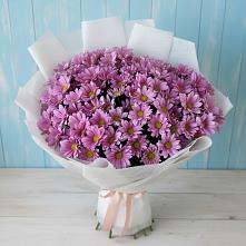 Букет цветов из:  Хризантемы в Нововеличковской