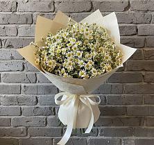 Букет цветов из:  Ромашки в Нововеличковской