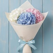 Букет цветов из:  Гортензия #REPLACE_PRED# Нововеличковской