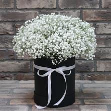 Цветочная композиция из Гипсофила в шляпной коробке в Нововеличковской