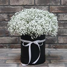 Цветочная композиция из Гипсофила в шляпной коробке в Нововеличковской