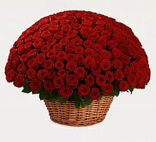 Премиум букет из: Розы в Нововеличковской