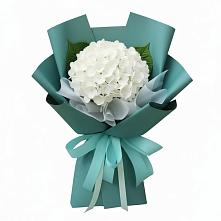 Букет цветов из:  Гортензия в Нововеличковской